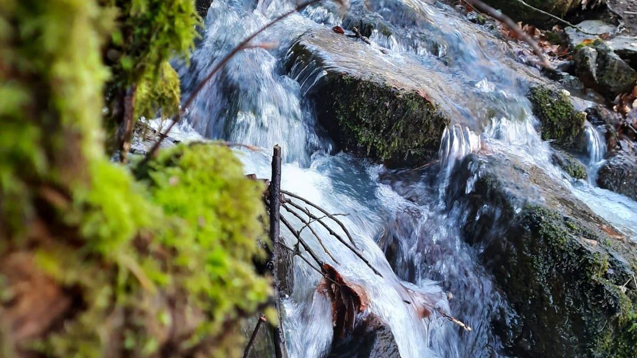 wilde Natur wilde Natur